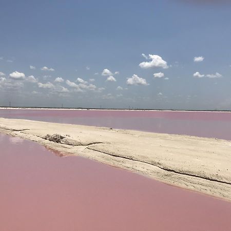 Hotel Villa De Pescadores Río Lagartos Eksteriør bilde