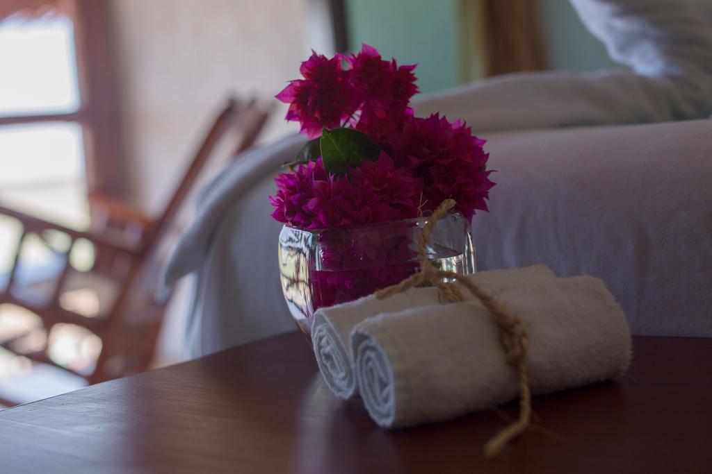 Hotel Villa De Pescadores Río Lagartos Eksteriør bilde