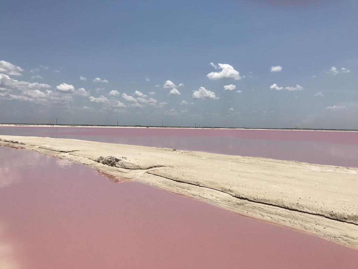 Hotel Villa De Pescadores Río Lagartos Eksteriør bilde